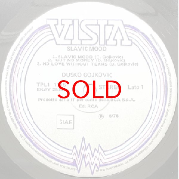 画像2: DUSKO GOYKOVICH -  SLAVIC MOOD (2)