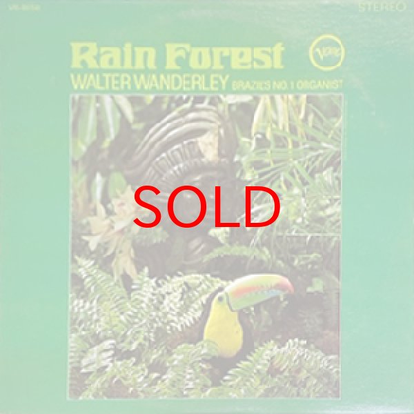 画像1: WALTER WANDERLEY -  RAIN FOREST (1)