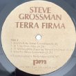 画像2: STEVE GROSSMAN -  TERRA FIRMA (2)