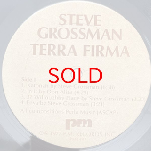画像2: STEVE GROSSMAN -  TERRA FIRMA (2)