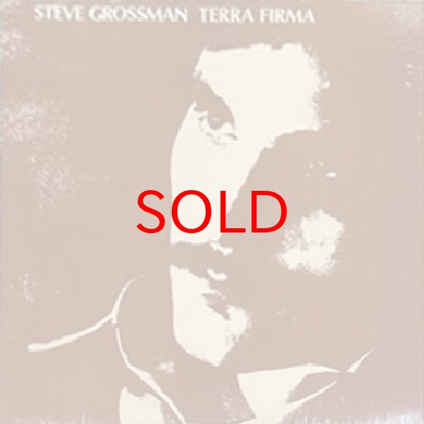 画像1: STEVE GROSSMAN -  TERRA FIRMA (1)