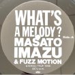 画像2: MASATO IMAZU -  WHAT'S A MELODY ? (2)