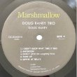 画像2: DOUG RANEY -  DOUG RANEY TRIO (2)