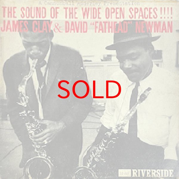 画像1: JAMES CLAY / DAVID NEWMAN -  THE SOUND OF THE WIDE OPEN SPACES (1)