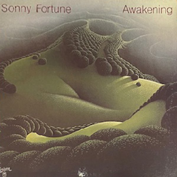 画像1: SONNY FORTUNE -  AWAKENING (1)