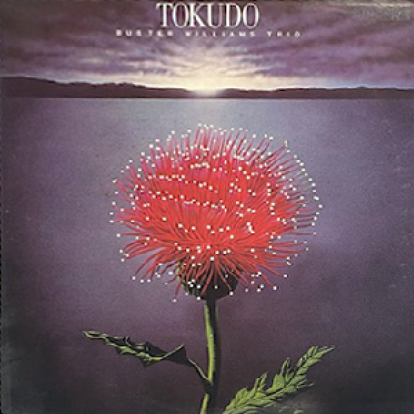 画像1: BUSTER WILLIAMS TRIO -  TOKUDO (1)