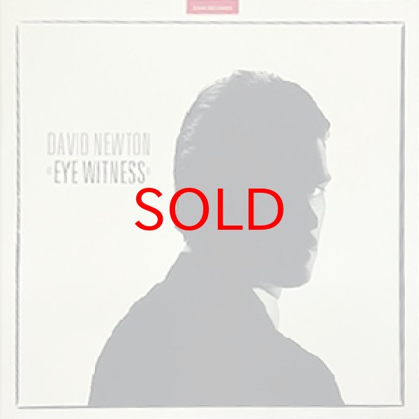 画像1: DAVID NEWTON -  EYE WITNESS (1)