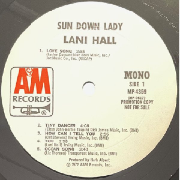 画像2: LANI HALL -  SUN DOWN LADY (2)