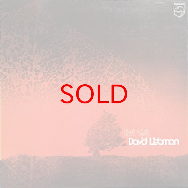 画像1: DAVID LIEBMAN -  FIRST VISIT (1)