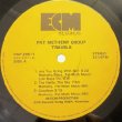 画像2: PAT METHENY -  TRAVELS (2)