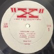 画像2: GEORGE HANDY -  HANDYLAND U.S.A (2)